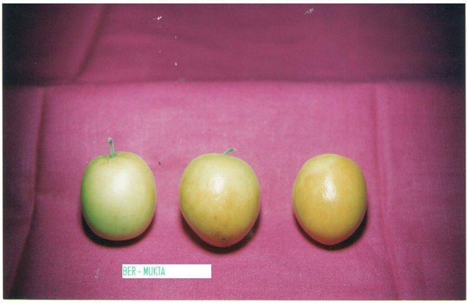 Ber Mukta
